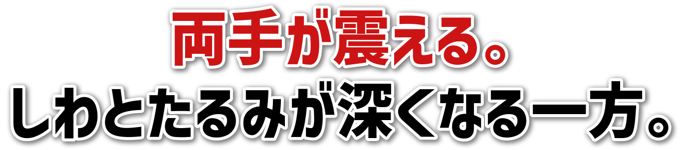 肪kBƂ݂[ȂB